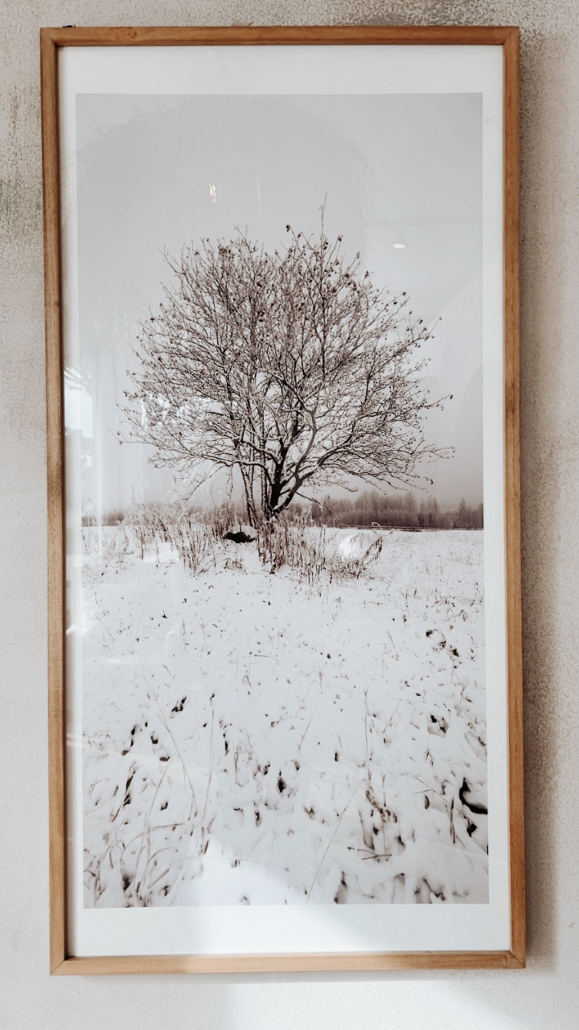 Cuadro Cerezo 60x120