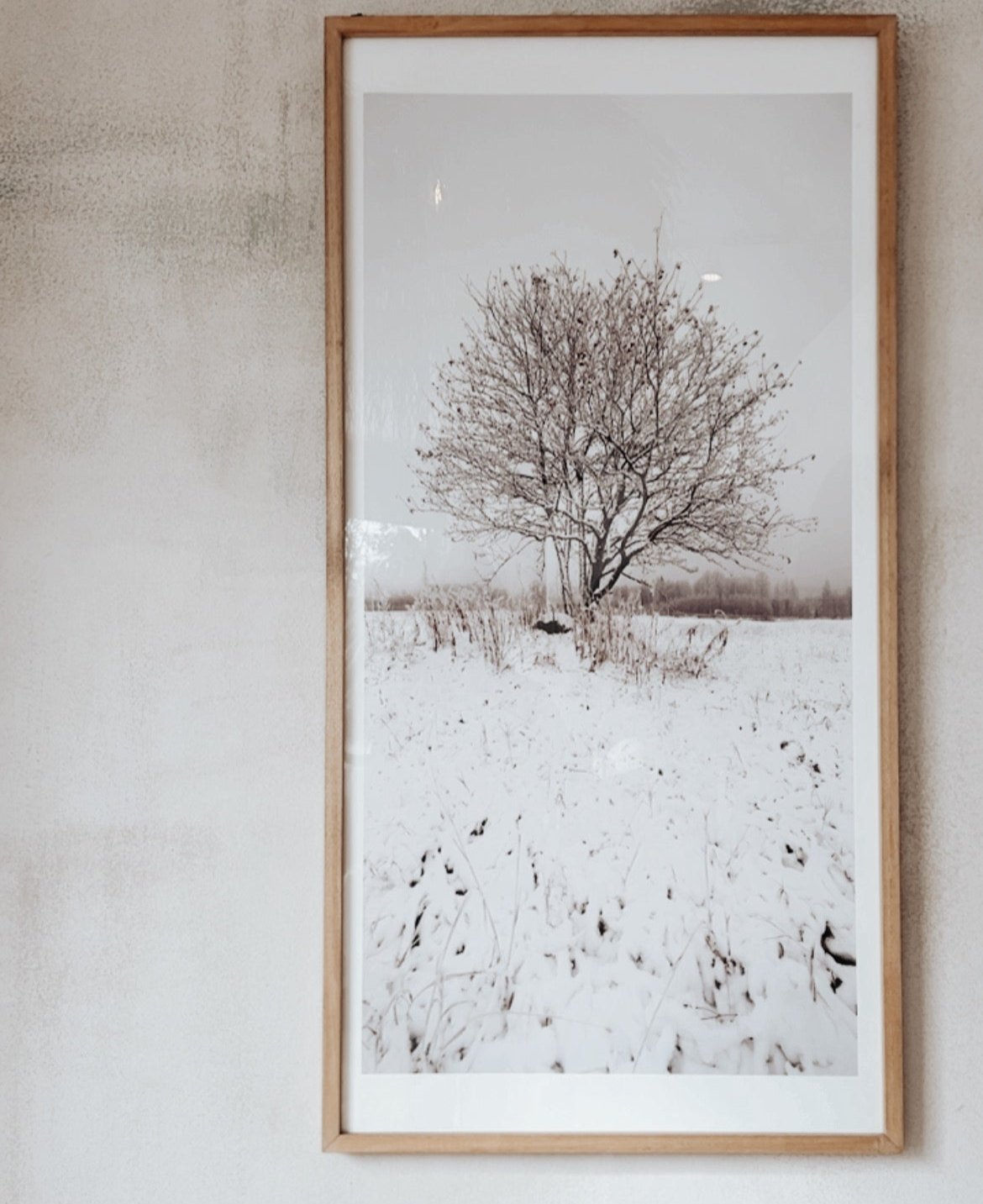 Cuadro Cerezo 60x120