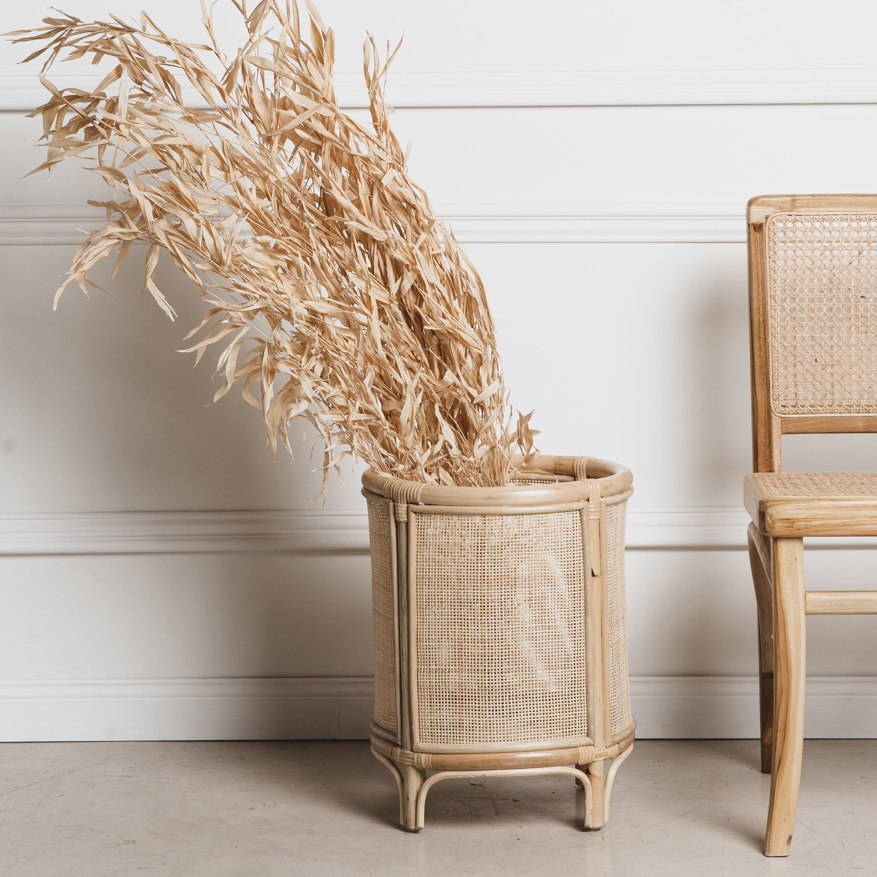 Portamaceta R, último!