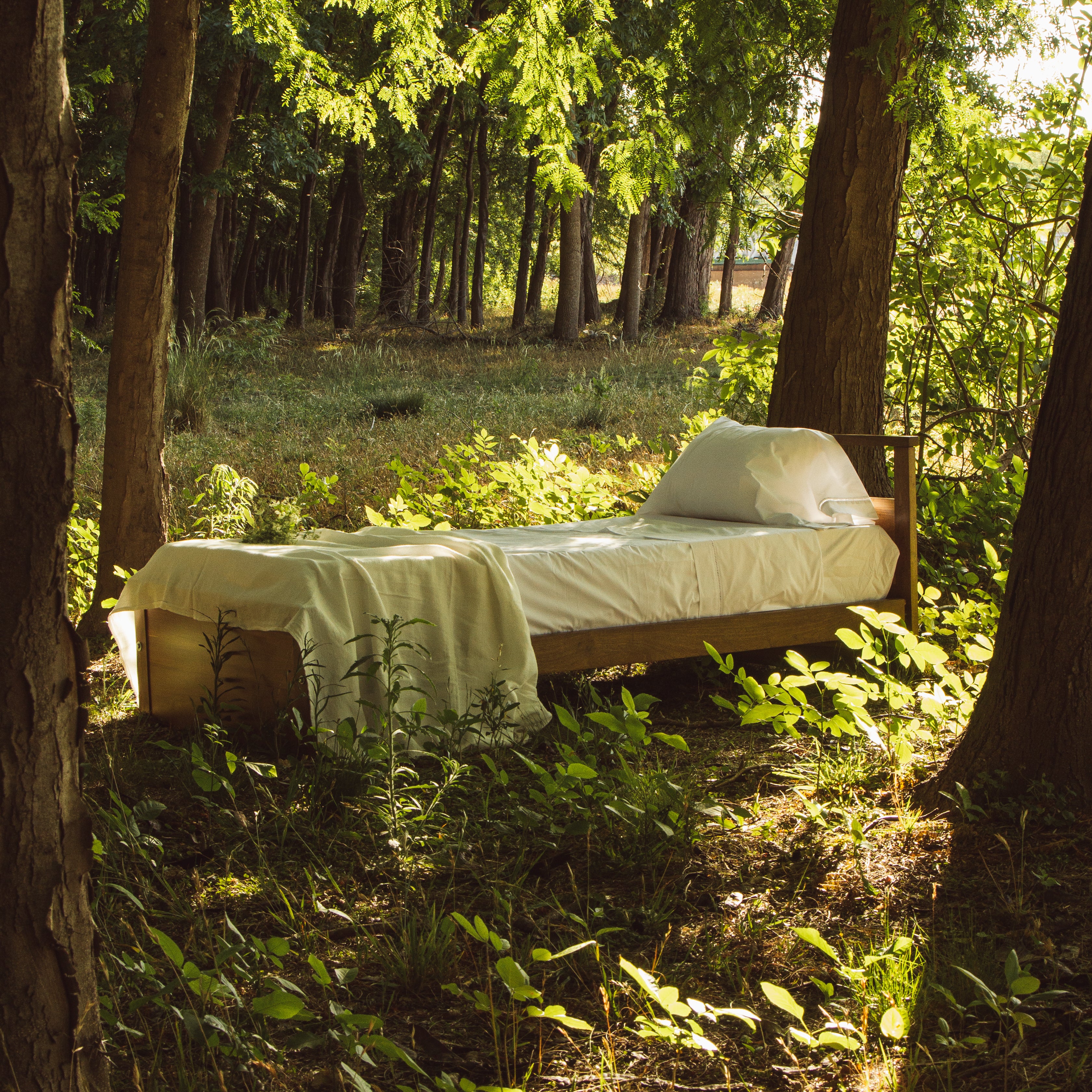 Cama Cozy Bear
